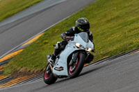 PJ-Motorsport-2019;anglesey-no-limits-trackday;anglesey-photographs;anglesey-trackday-photographs;enduro-digital-images;event-digital-images;eventdigitalimages;no-limits-trackdays;peter-wileman-photography;racing-digital-images;trac-mon;trackday-digital-images;trackday-photos;ty-croes